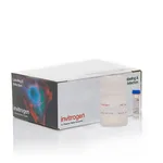 Thermo Fisher Scientific FluoReporter Blue Fluorometric dsDNA Quantitation Kit, 200-2,000 assays