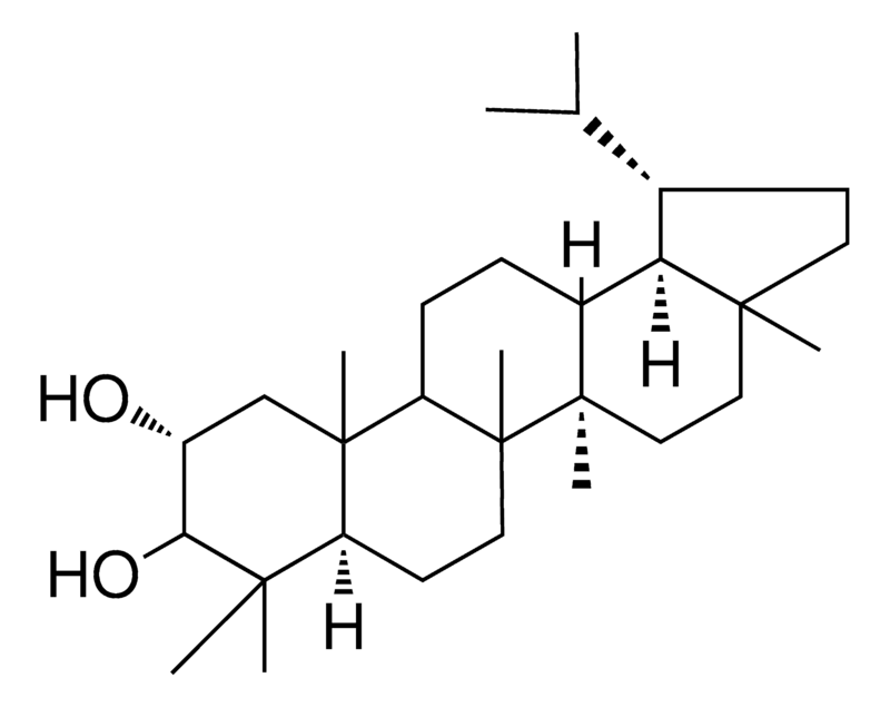 Merck LUPANE-2-ALPHA,3-BETA-DIOL - 1 MG