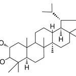 Merck LUPANE-2-ALPHA,3-BETA-DIOL - 1 MG