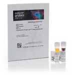 Thermo Fisher Scientific LIVE/DEAD FungaLight Yeast Viability Kit, for flow cytometry