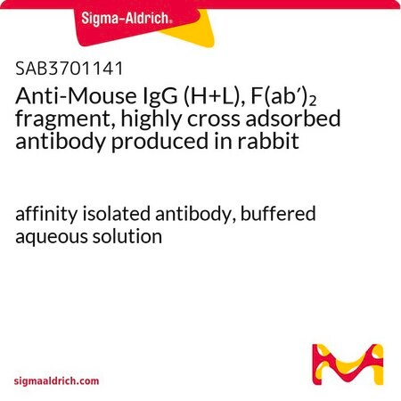 Merck Anti-Mouse IgG (H+L), F(ab')2 fragment, highly cross adsorbed antibody produced in rabbit