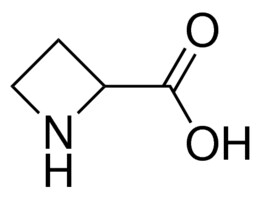 Merck AZETIDINE-2-CARBOXYLIC ACID