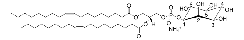 Merck 18:1 PI