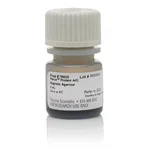 Thermo Fisher Scientific Pierce Protein A/G Magnetic Agarose Beads, 4 mL