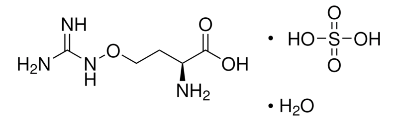 Merck L-(+)-Canavanine sulfate salt monohydrate