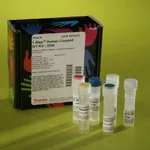 Thermo Fisher Scientific 1-Step Human Coupled IVT Kit - DNA, 8 Reaction Kit