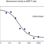 Merck Doxorubicin Ready-Made
