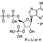 Merck ADENOSINE 3``-PHOSPHATE 5``-PHOSPHOSULFATE