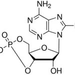 Merck 8-BROMOADENOSINE-3-5-CYCLIC &