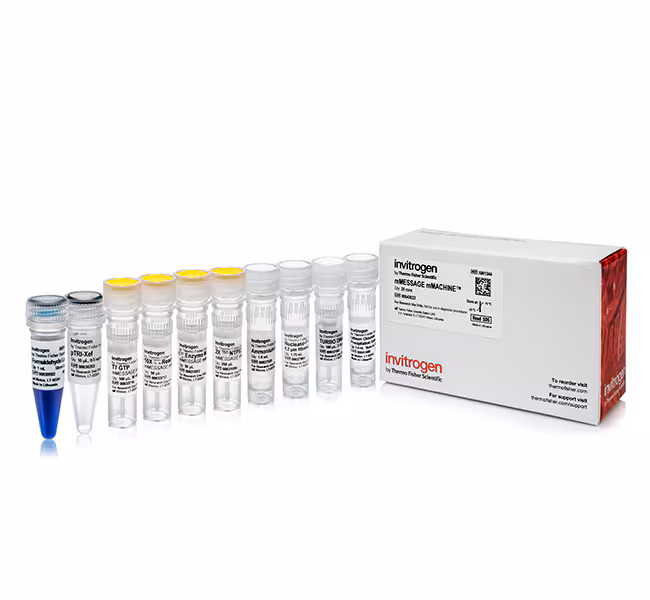 Thermo Fisher Scientific mMESSAGE mMACHINE T3 Transcription Kit, 25 Reactions