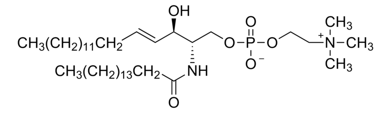 Merck N-Palmitoyl-D-sphingomyelin