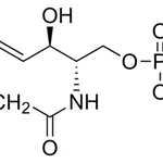 Merck N-Palmitoyl-D-sphingomyelin