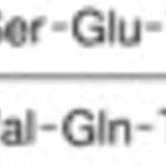 Merck DES-HIS1,(GLU9)-GLUCAGON AMIDE