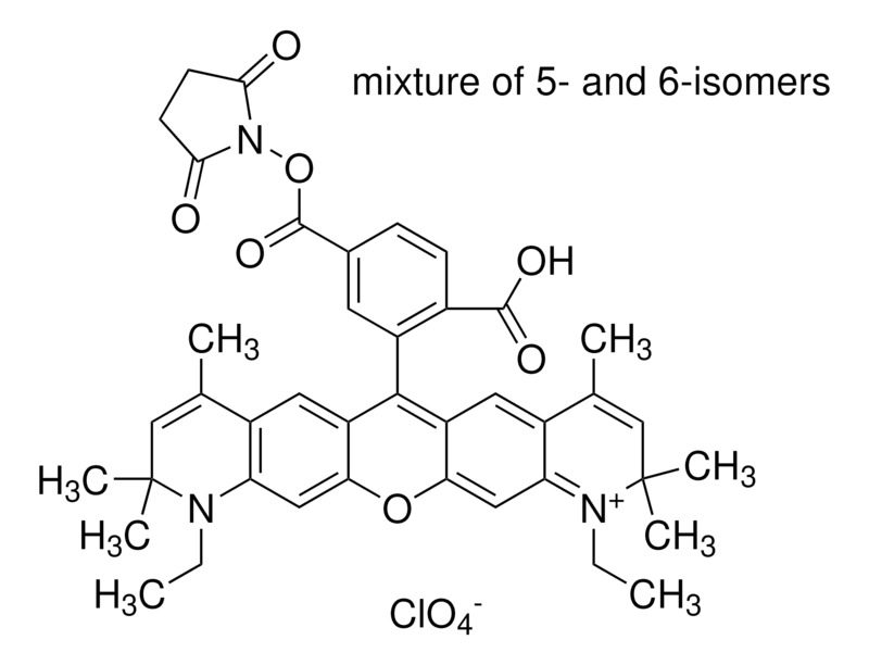 Merck Atto 590 NHS ester