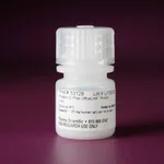 Thermo Fisher Scientific Pierce Protein G Plus UltraLink Resin