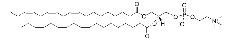 Merck 18:3 (Cis) PC