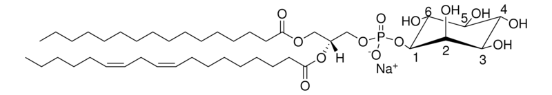 Merck Soy PI