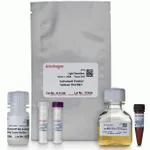 Thermo Fisher Scientific BacMam Histone H3K4me3 Cellular Assay Kit