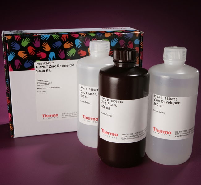 Thermo Fisher Scientific Pierce Zinc Reversible Stain Kit