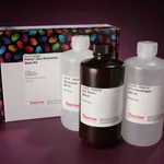 Thermo Fisher Scientific Pierce Zinc Reversible Stain Kit