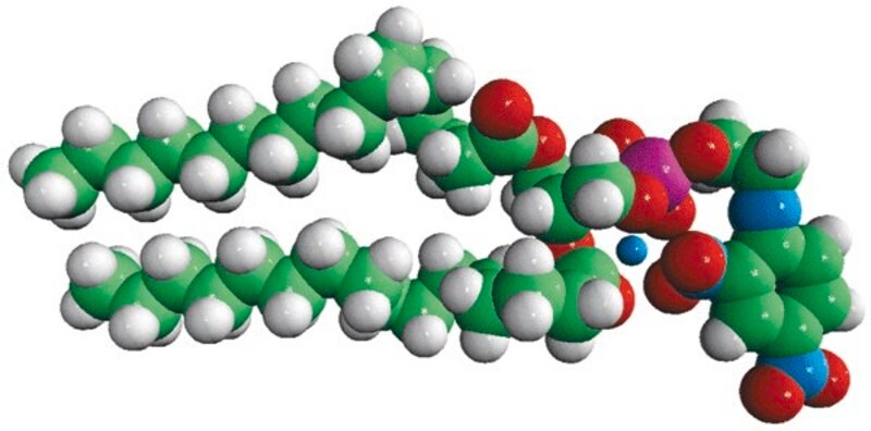 Merck 16:0 DNP PE