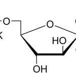 Merck D-FRUCTOSE 6-PHOSPHATE DIPOTASSIUM