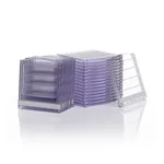 Thermo Fisher Scientific Empty Gel Cassettes, mini, 1.0 mm