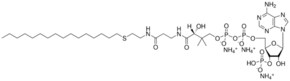 Merck 16:0 ETHER COENZYME A