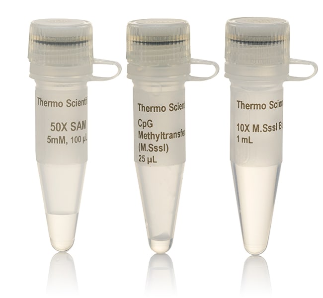Thermo Fisher Scientific CpG Methyltransferase (M.SssI)