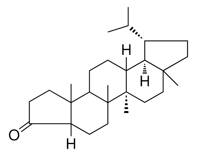Merck 4,23,24-TRINOR-5-BETA-LUPAN-3- - 1 MG&