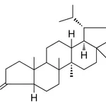 Merck 4,23,24-TRINOR-5-BETA-LUPAN-3- - 1 MG&