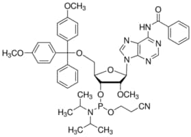 Merck DMT-2``O-ME-RA(BZ) AMIDITE 0.5G, 89, SING