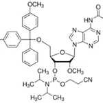 Merck DMT-2``O-ME-RA(BZ) AMIDITE 0.5G, 89, SING