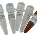 Thermo Fisher Scientific Maxima SYBR Green/ROX qPCR Master Mix (2X), 200 reactions