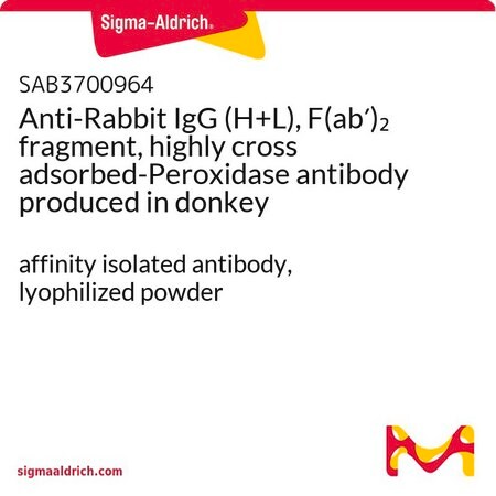 Merck Anti-Rabbit IgG (H+L), F(ab')2 fragment, highly cross adsorbed-Peroxidase antibody produced in donkey