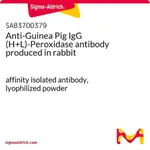 Merck Anti-Guinea Pig IgG (H+L)-Peroxidase antibody produced in rabbit