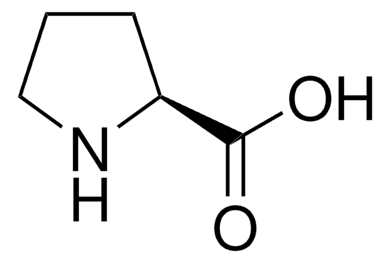 Merck L-Proline