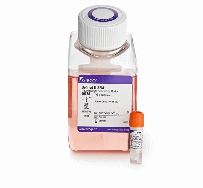Thermo Fisher Scientific Defined Keratinocyte SFM (1X)