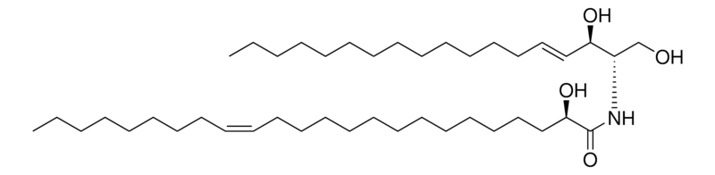 Merck 24:1(2R-OH) Ceramide
