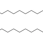 Merck 24:1(2R-OH) Ceramide