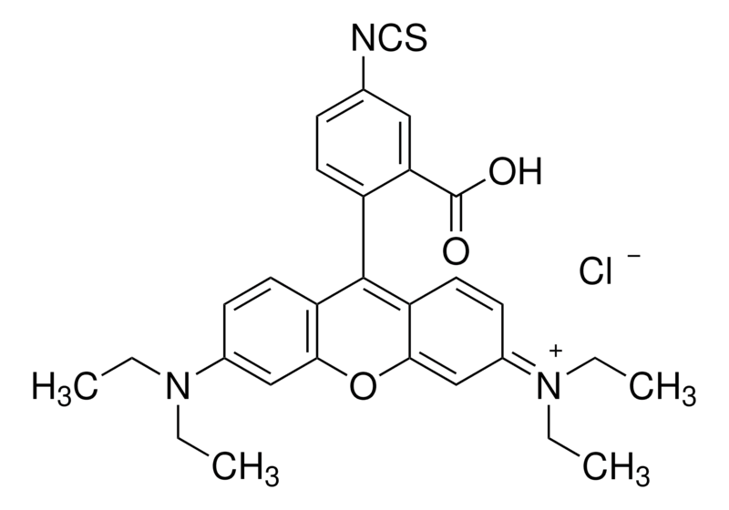 Merck Rhodamine B isothiocyanate