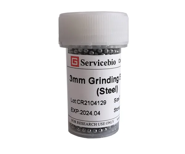 Servicebio Grinding Beads (Steel)