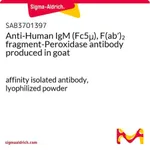 Merck Anti-Human IgM (Fc5mu), F(ab')2 fragment-Peroxidase antibody produced in goat