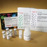 Thermo Fisher Scientific EZ-Link Plus Activated Peroxidase Kit