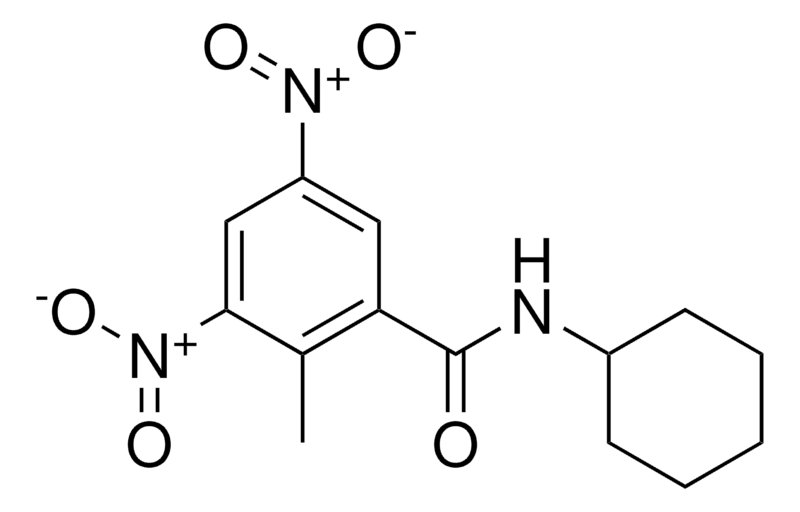 Merck N-CYCLOHEXYL-2-METHYL-3,5-DINI - 25 MG&