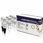 Thermo Fisher Scientific GeneRuler 1 kb Plus DNA Ladder, 5 x 50 ug