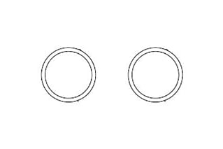 Waters O-Ring, 19 mm ID Prep Guard Holder, 2/pk