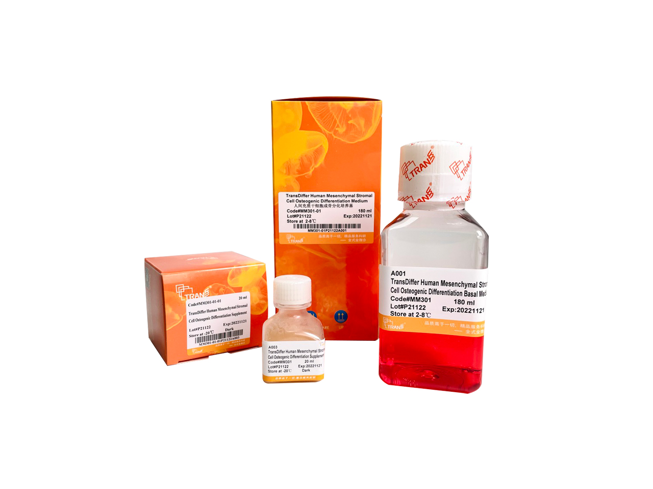 TransDiffer® Human Mesenchymal Stromal Cell Osteogenic Differentiation Medium