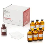 Thermo Fisher Scientific WesternBreeze Chromogenic Kit, anti-rabbit