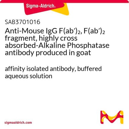 Merck Anti-Mouse IgG F(ab')2, F(ab')2 fragment, highly cross absorbed-Alkaline Phosphatase antibody produced in goat